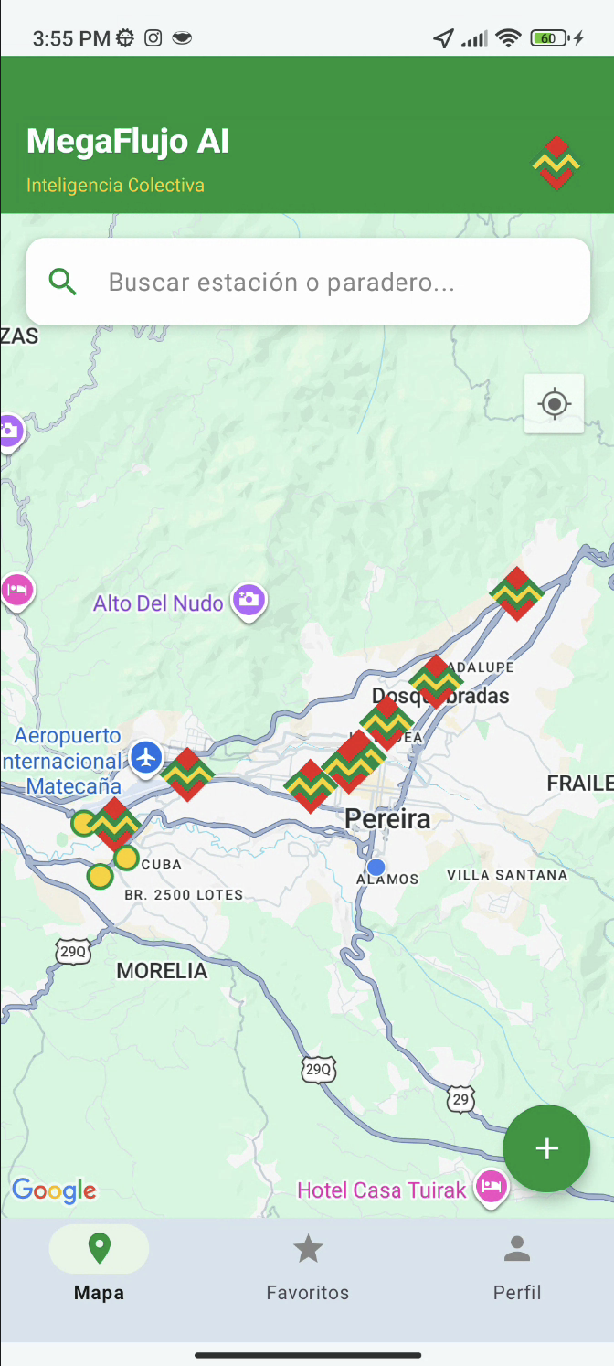 MegaFlujo Report View